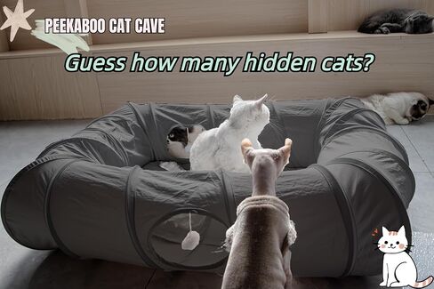 XxingSheep 4 Ways Shuttled XL Cat Tunnel Bed for Indoor Cats Peekaboo Cat Cave Donut with Cool Mat in Saudi Arabia