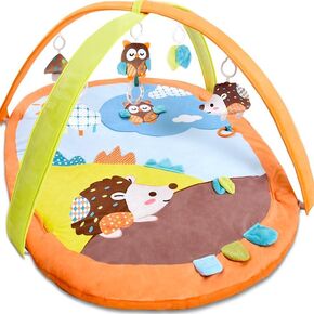 Baby Gym Play Mat, 6-in-1 Tummy Time Mat & Activity Gym, Baby Essentials with 6 Detachable Toys for Sensory Exploration and Motor Skill Development, Newborn to Toddlers as Gift（Blue）