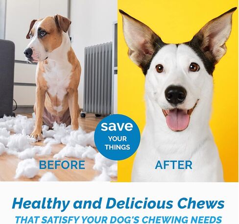 123 Treats Thick Beef Cheek Retriever Roll Chews for Dogs (10-12" - (6 Count) with Bully Dust) in Saudi Arabia
