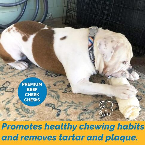 123 Treats Thick Beef Cheek Retriever Roll Chews for Dogs (10-12" - (6 Count) with Bully Dust) in Saudi Arabia