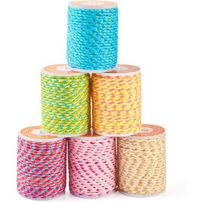 Beadthoven 1.5mm Braided Cord, 25.8 Yards Colorful Beading Bracelet Strings Metallic Cord Chinese Knotting Cord Rope Macrame Cord Rainbow Craft String for Jewelry Making DIY Craft