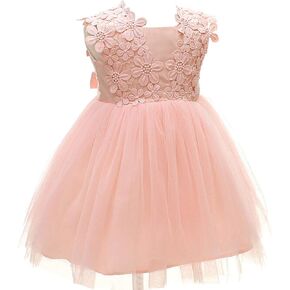 Pink Baby Girl Christening Dress Baptism Dedication Blessing Gown Special Occasion Dresses with Floral Embroidered