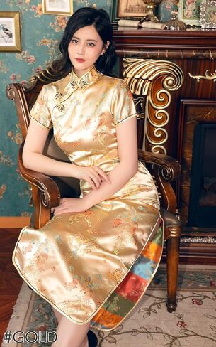 BRIGHT LELE Traditional Chinese Dress Long Skirt Qipao Cheongsam for Halloween Cosplay Party Costumes jys020 in Saudi Arabia