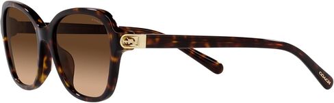 Coach Women's Hc8349u Universal Fit Butterfly Sunglasses in Saudi Arabia