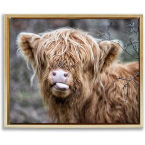 Stupell Industries BaBy Highland Calf Cattle Licking Lips Country Farmland Canvas Wall Art, Design By James Dobson
