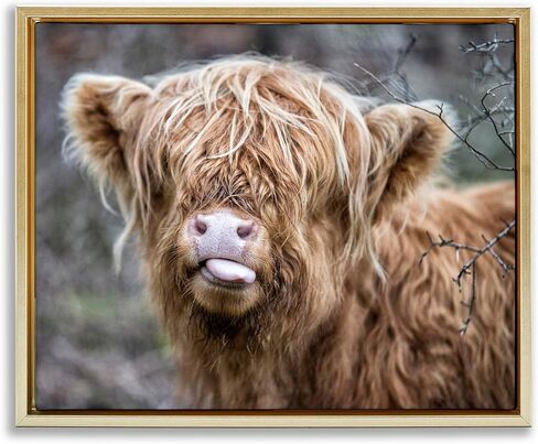 Stupell Industries BaBy Highland Calf Cattle Licking Lips Country Farmland Canvas Wall Art, Design By James Dobson in Saudi Arabia