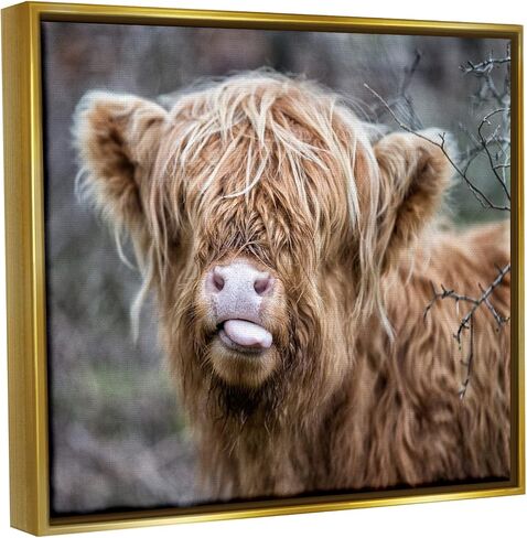 Stupell Industries BaBy Highland Calf Cattle Licking Lips Country Farmland Canvas Wall Art, Design By James Dobson in Saudi Arabia