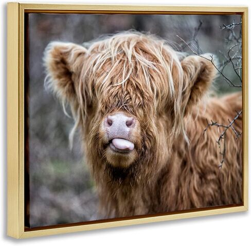 Stupell Industries BaBy Highland Calf Cattle Licking Lips Country Farmland Canvas Wall Art, Design By James Dobson in Saudi Arabia
