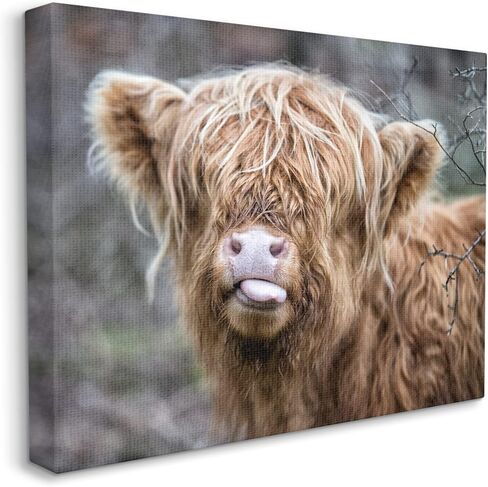 Stupell Industries BaBy Highland Calf Cattle Licking Lips Country Farmland Canvas Wall Art, Design By James Dobson in Saudi Arabia