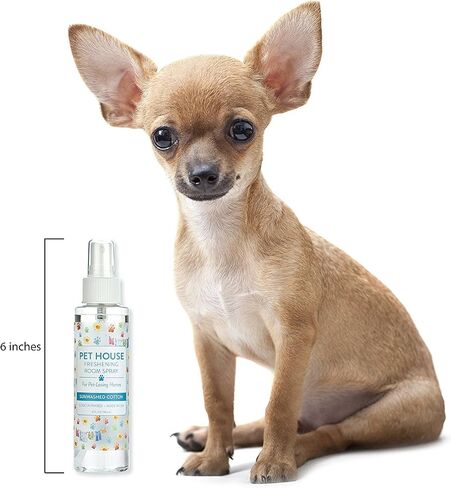 بخاخ معطر للغرفة من One Fur All Pet House - عبوة من قطعتين من غابة دائمة الخضرة - معطر هواء مركز - معطر هواء غير سام وصديق للحيوانات الأليفة - بخاخ مزيل لرائحة الحيوانات الأليفة in Saudi Arabia