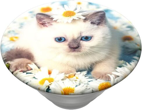 PopSockets PopTop (Top only. Base Sold Separately) Swappable Top for PopSockets Phone Grip Base, Floral PopTop - Retro Wild Rose in Saudi Arabia