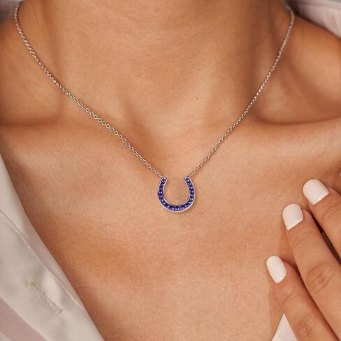 DAYBYDAY Horseshoe Necklace 925 Stelring Silver Channel Set Moissanite Horse Shoe Pendant with 18" Chain Lucky Jewelry for Women Teen Girls in Kuwait