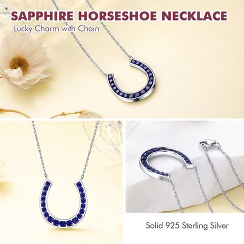 DAYBYDAY Horseshoe Necklace 925 Stelring Silver Channel Set Moissanite Horse Shoe Pendant with 18" Chain Lucky Jewelry for Women Teen Girls in Kuwait