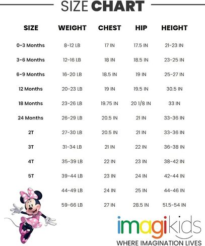 Disney Girls Fleece Sweatshirt and Jogger Pants Outfit Set Newborn to Big Kid Sizes (Newborn - 14-16) in Kuwait