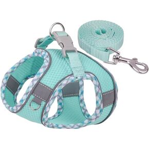 Dog Harness and Leash Set, No Pull Adjustable Reflective Pet Harness for Small Medium Dogs, Easy Walk Step in Vest Harness Outdoor Hiking Training for Extra Small Dogs, Puppy, Cats(Pink, XXS)