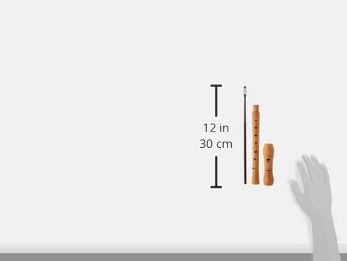 هوهنر 9550 بيروود 2 قطعة مسجل سوبرانو موديل 9520 in Saudi Arabia