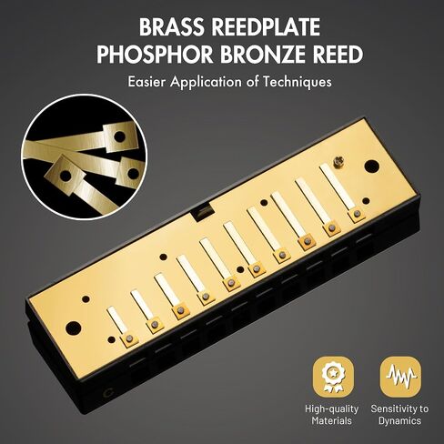 Blues Harmonica for Kids Beginners, 10 Hole Diatonic Harmonica Key of C, Brass Reed Metal Mouth Organ C Key Blues Harp with Case, Silver in Kuwait