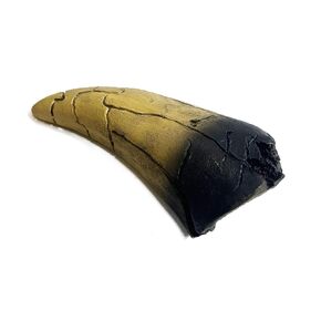 Carcharodon Megalodon Tooth Replica with Serration-Shark Teeth Fossil Collection,5.1 inches (Yellow)
