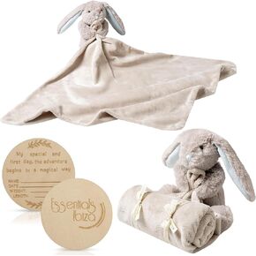 Pink Rabbit Baby Security Blanket Soft Lovey Blanket, Newborn Snuggle Toy, Stuffed Animal, Unisex Cuddle Blanket, Nursery Essentials + Dedication Tag - 19"