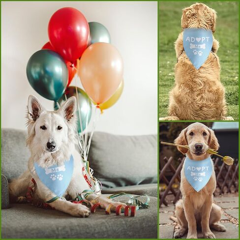 أنا أفعل أيضا الكلب باندانا الكلب الزفاف الخطوبة باندانا الزفاف المشاركة الكلب باندانا صور الدعامة الحيوانات الأليفة وشاح اكسسوارات لمحبي الكلاب هدية in Kuwait