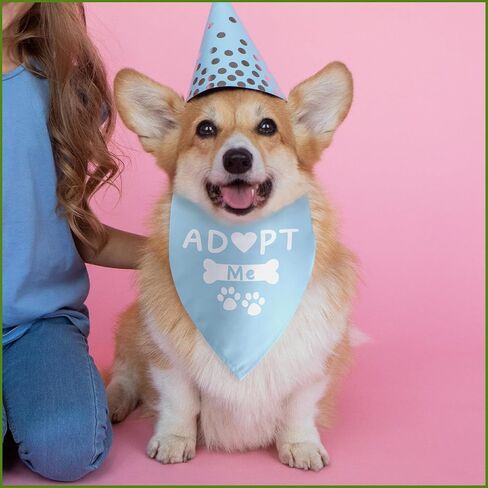 أنا أفعل أيضا الكلب باندانا الكلب الزفاف الخطوبة باندانا الزفاف المشاركة الكلب باندانا صور الدعامة الحيوانات الأليفة وشاح اكسسوارات لمحبي الكلاب هدية in Kuwait