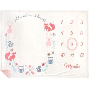 Hudson Baby Unisex Baby Plush Holiday and Milestone Blanket, Holiday, One Size in Saudi Arabia