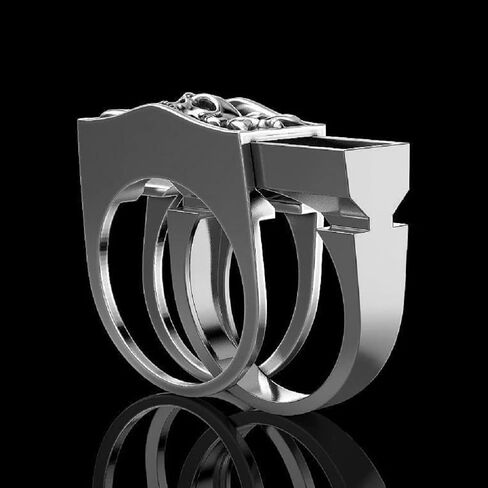 Punk Style Skull Men Set Rings Rock Punk Style Gothic Totem Amulet Ring with Mini Hidden Storage Box Design Two - Color Skull Pull Animal Ashes Storage Box (Size 13, Silvery) in Saudi Arabia