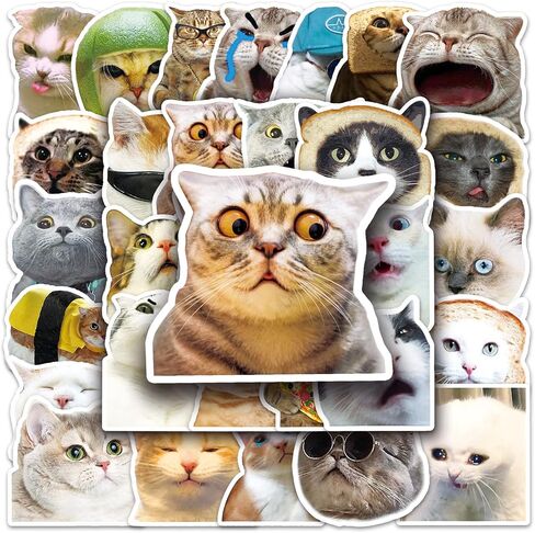 50 قطعة من ملصقات Kawaii Cat Meme اللطيفة - ملصقات مضحكة للبالغين والمراهقين | إضفاء الطابع الشخصي على لوح التزلج والدراجات وأجهزة الكمبيوتر المحمولة والقرطاسية والكمبيوتر المحمول وزجاجات المياه in Kuwait