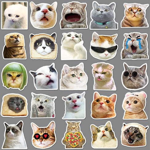 50 قطعة من ملصقات Kawaii Cat Meme اللطيفة - ملصقات مضحكة للبالغين والمراهقين | إضفاء الطابع الشخصي على لوح التزلج والدراجات وأجهزة الكمبيوتر المحمولة والقرطاسية والكمبيوتر المحمول وزجاجات المياه in Kuwait