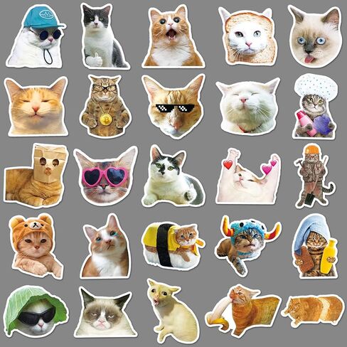 50 قطعة من ملصقات Kawaii Cat Meme اللطيفة - ملصقات مضحكة للبالغين والمراهقين | إضفاء الطابع الشخصي على لوح التزلج والدراجات وأجهزة الكمبيوتر المحمولة والقرطاسية والكمبيوتر المحمول وزجاجات المياه in Kuwait