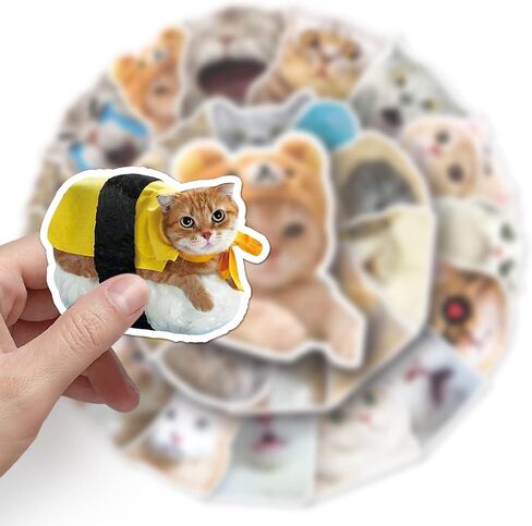 50 قطعة من ملصقات Kawaii Cat Meme اللطيفة - ملصقات مضحكة للبالغين والمراهقين | إضفاء الطابع الشخصي على لوح التزلج والدراجات وأجهزة الكمبيوتر المحمولة والقرطاسية والكمبيوتر المحمول وزجاجات المياه in Kuwait