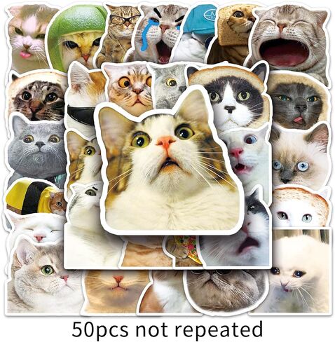50 قطعة من ملصقات Kawaii Cat Meme اللطيفة - ملصقات مضحكة للبالغين والمراهقين | إضفاء الطابع الشخصي على لوح التزلج والدراجات وأجهزة الكمبيوتر المحمولة والقرطاسية والكمبيوتر المحمول وزجاجات المياه in Kuwait