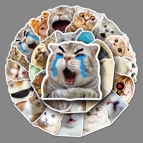 50 قطعة من ملصقات Kawaii Cat Meme اللطيفة - ملصقات مضحكة للبالغين والمراهقين | إضفاء الطابع الشخصي على لوح التزلج والدراجات وأجهزة الكمبيوتر المحمولة والقرطاسية والكمبيوتر المحمول وزجاجات المياه in Kuwait