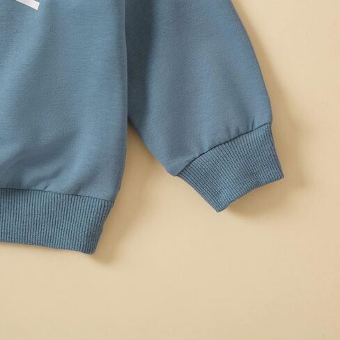 Toddler Newborn Baby Boy Outfit Long Sleeve Little Dude Print Sweatshirt Top Long Pants Infant Fall Winter 2PCS in Saudi Arabia