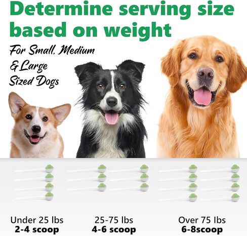 مسحوق تنظيف الأسنان للكلاب، معطر أنفاس الكلاب، مسحوق أسنان للكلاب، أسنان مع البروبيوتيك تساعد على تقليل رائحة الفم الكريهة، مزيل جير البلاك، مسحوق أسنان الكلاب للكلاب الصغيرة والمتوسطة والكبيرة 50 جم in Kuwait