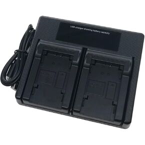 USB Dual Battery Charger for JVC BN-VG107U, BN-VG108E BN-VG114U BN-VG121 BN-VG121E BN-VG121U BN-VG138 BN-VG138E Everio GZ-E GZ-GX GZ-HD GZ-HM GZ-MS Series Camera
