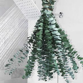 22 PCS Dried Eucalyptus Stems for Shower - 17'' Large Preserved Eucalyptus Plant Bundle for Shower Hanging, Fresh Real Eucalyptus Leaves for Fragrance, Artificial Flowers Arrangement, Bathroom Decor