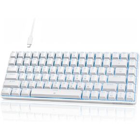 TMKB T84SE Gaming Keyboard,75% Mechanical Keyboard with Linear Red Switch,Ice Blue LED Backlit, Detachable USB-C Cable,Full-Key Rollover for Computer/PC/Laptop/MAC,US Layout,White