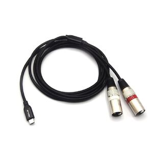 REXUS USB C to Dual XLR Male Audio Cable 10 Ft TYPE C to 2 XLR Male Stereo Power Amplifier,Mobile Phone USB C Connection Active Speaker, Power Amplifier, iPhone 15(TCM2XMM_30)