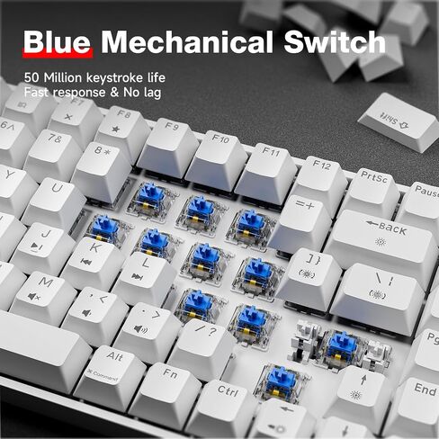 TMKB T84SE Gaming Keyboard,75% Mechanical Keyboard with Linear Red Switch,Ice Blue LED Backlit, Detachable USB-C Cable,Full-Key Rollover for Computer/PC/Laptop/MAC,US Layout,White in Saudi Arabia