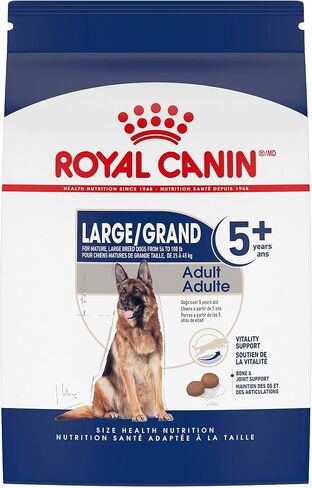 Royal Canin Large Breed Adult Dry Dog Food, 6 lb. bag in Kuwait