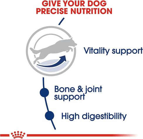 Royal Canin Large Breed Adult Dry Dog Food, 6 lb. bag in Kuwait