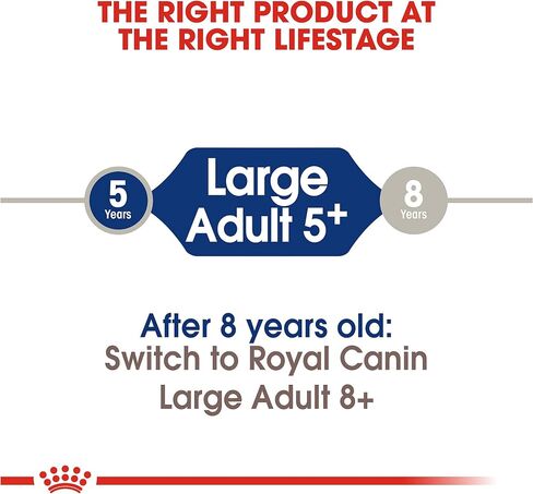 Royal Canin Large Breed Adult Dry Dog Food, 6 lb. bag in Kuwait