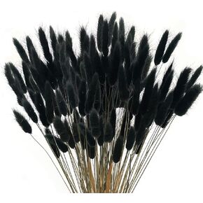 XHXSTORE 120pcs Bunny Tails Dried Flowers Grey Blue Pampas Grass Decor Rabbit Tails Dried Flowers Bulk Natural Lagurus Ovatus for Dried Floral Arrangement Home Wedding Party Decor (16")