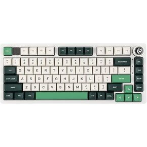 EPOMAKER x LEOBOG Hi75 Aluminum Alloy Wired Mechanical Keyboard, Programmable Gasket-Mounted Gaming Keyboard with Mode-Switching Knob, Hot Swappable, NKRO, RGB (White Green, Reaper Switch)