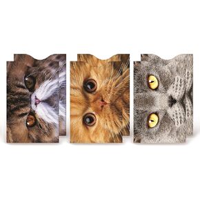 RFID Blocking Sleeves Credit Card Holder (Set of 6) - Cats Package in Kuwait