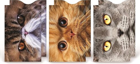 RFID Blocking Sleeves Credit Card Holder (Set of 6) - Cats Package in Kuwait
