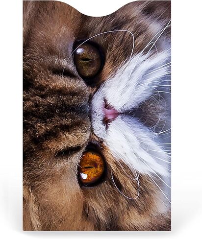 RFID Blocking Sleeves Credit Card Holder (Set of 6) - Cats Package in Kuwait