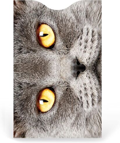 RFID Blocking Sleeves Credit Card Holder (Set of 6) - Cats Package in Kuwait