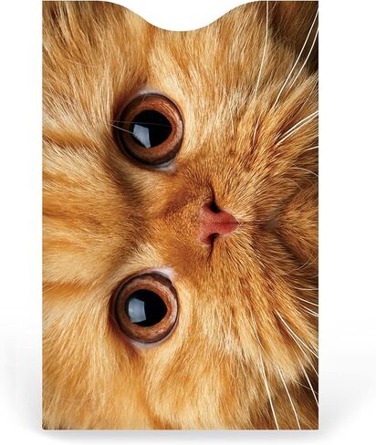 RFID Blocking Sleeves Credit Card Holder (Set of 6) - Cats Package in Kuwait